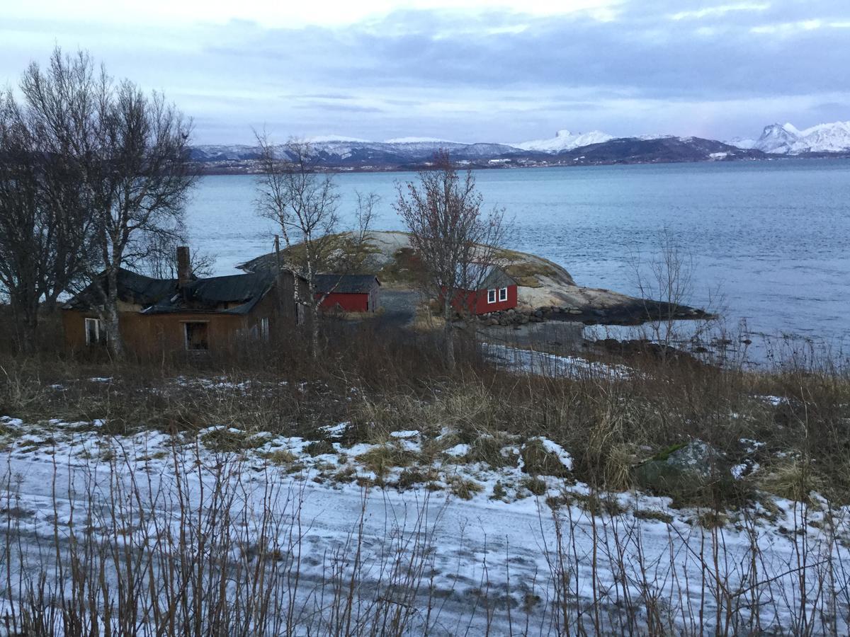 Camp Saltstraumen-Elvegard Hotel Bodo Exterior photo